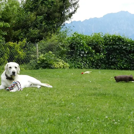 Daisy's Bed and Breakfast Θουν