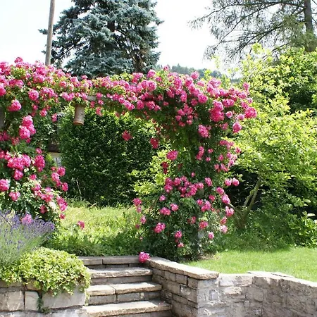 Bed and Breakfast Daisy's Θουν